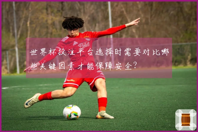 世界杯投注平台选择时需要对比哪些关键因素才能保障安全？