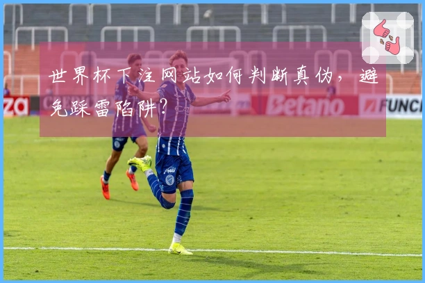 世界杯下注网站如何判断真伪，避免踩雷陷阱？