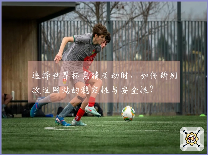选择世界杯竞猜活动时，如何辨别投注网站的稳定性与安全性？